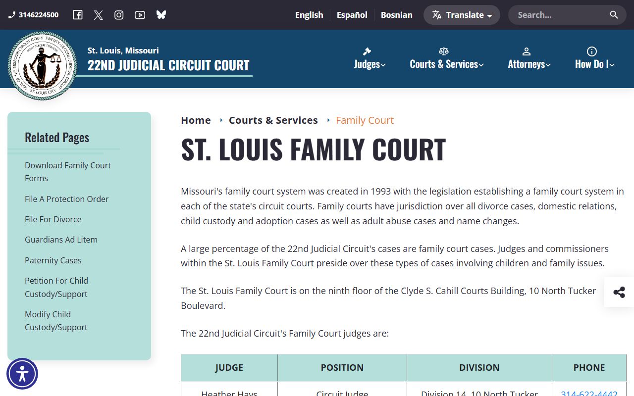 St. Louis City County court records family court and juvenile division